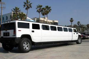 Limousine Insurance in Troy, MO. 